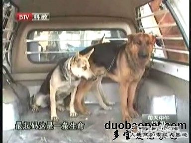 xin_5420606061015671101965.jpg