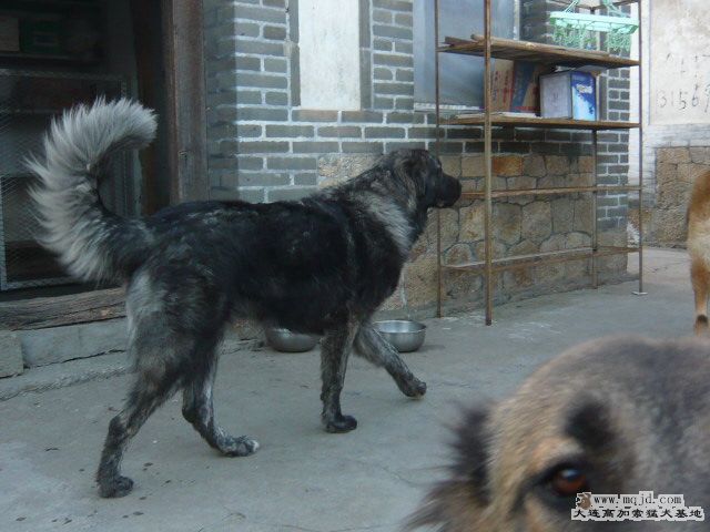 P1020856.JPG