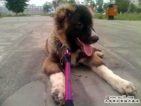 moto_0094.jpg