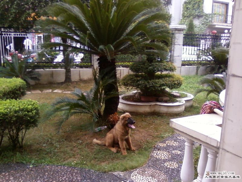 Ƭ-0021.jpg