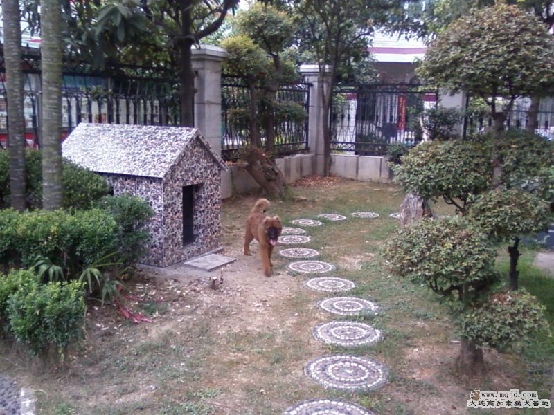 Ƭ-0019.jpg