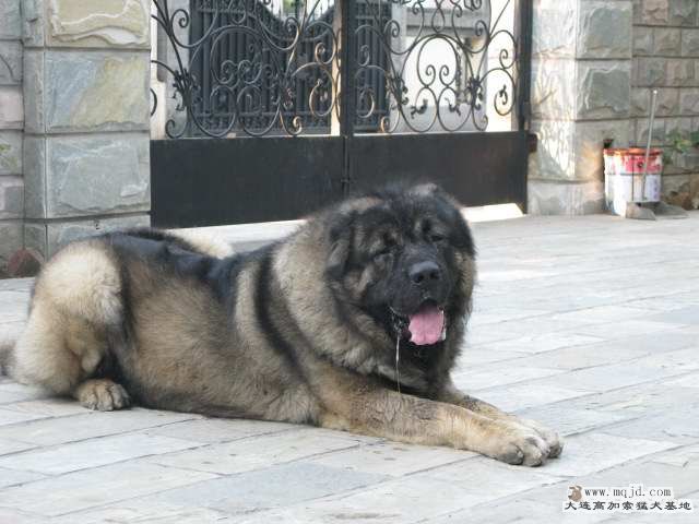 Ƭ 012.jpg