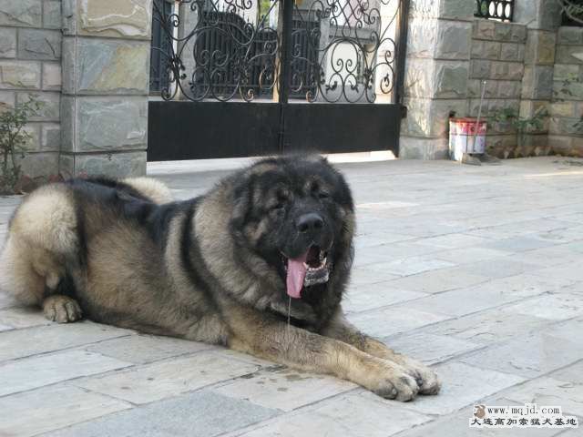Ƭ 017.jpg