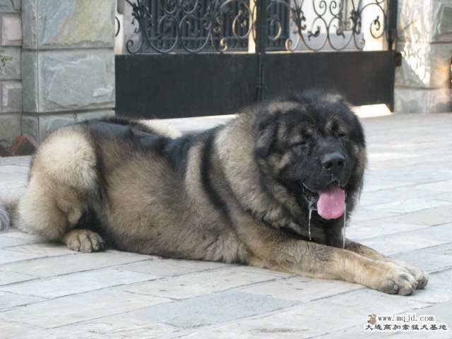 Ƭ 009.jpg