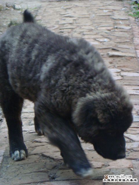 1-01--mjb0512.jpg