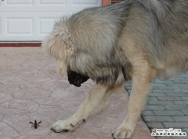 1-0401-С߶Ϻ-SHJX.jpg