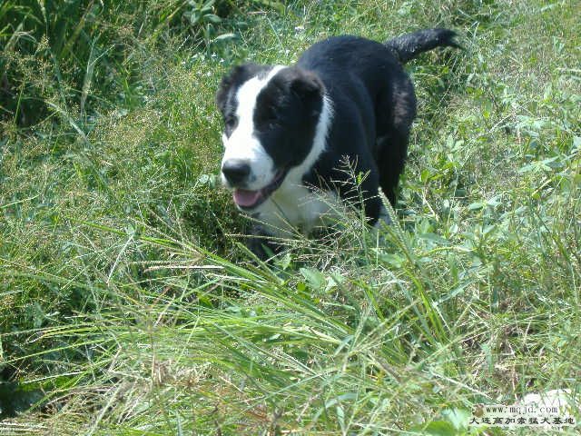 DSCF0270.JPG