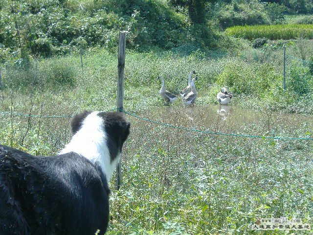 DSCF0278.JPG