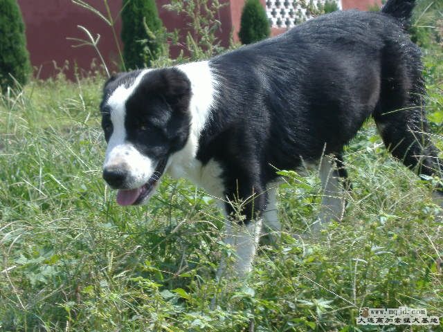 DSCF0272.JPG