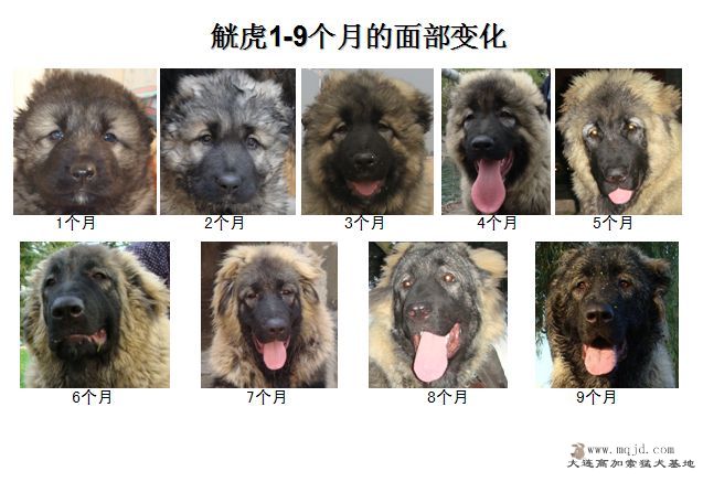 1-9.jpg