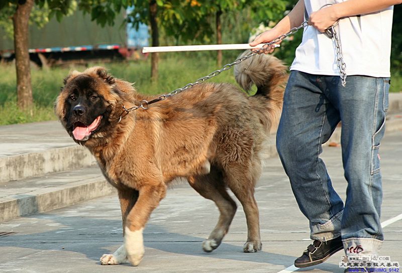 IMG_9142_С.jpg