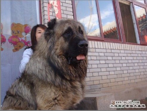 С.jpg