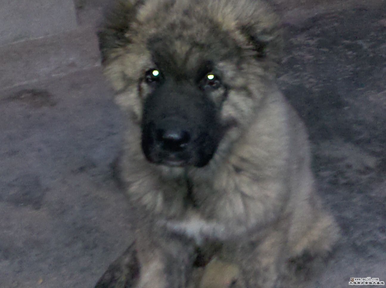 moto_0122.jpg