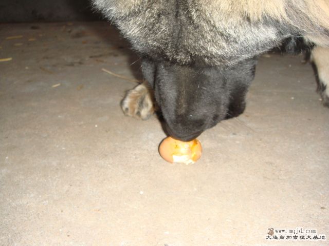 DSC01313.JPG