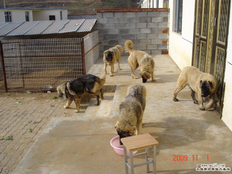 DSC02417.jpg