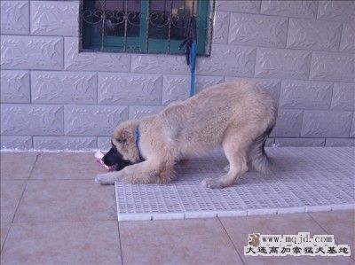 Ƭ 004_.jpg