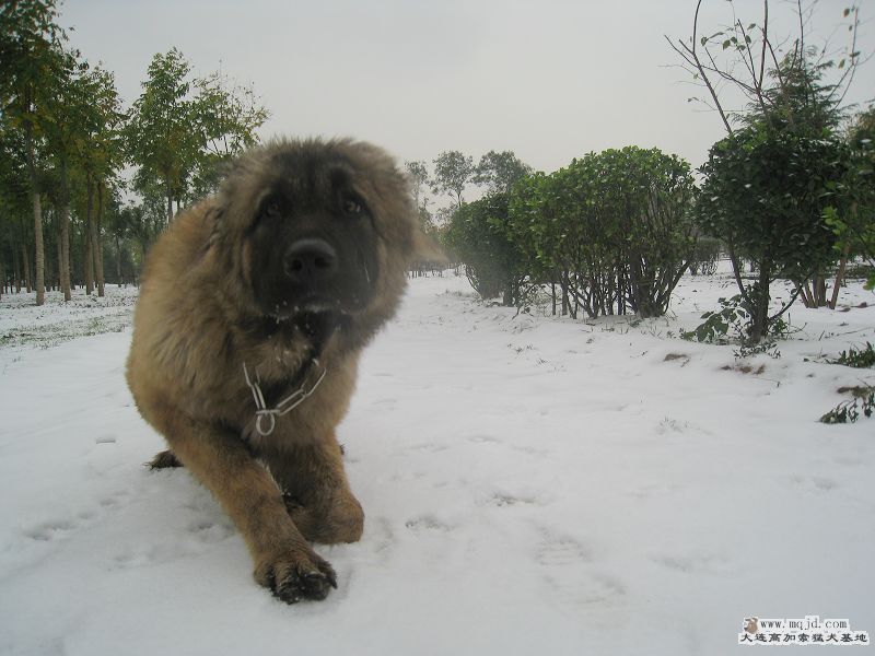 20091111 109.jpg