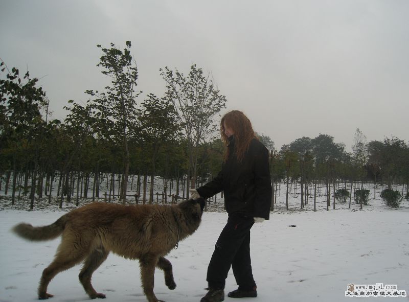 20091111 121.jpg