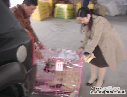 QQͼδ.jpg
