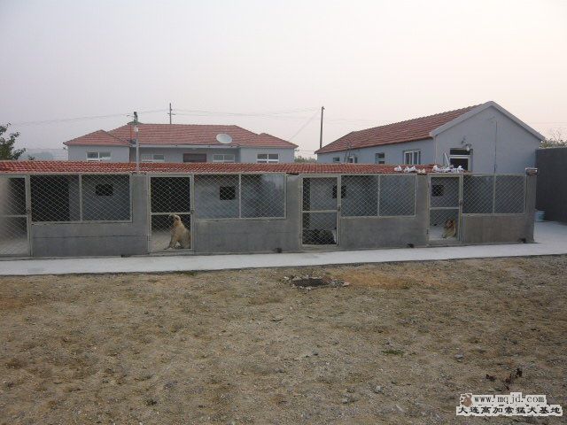 P1020917.JPG