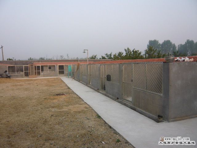 P1020915.JPG