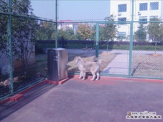 Ŀ겻ʧͷ