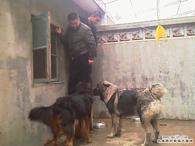 IMAG0101.jpg