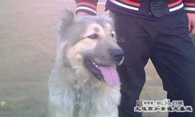 IMG0014A.jpg