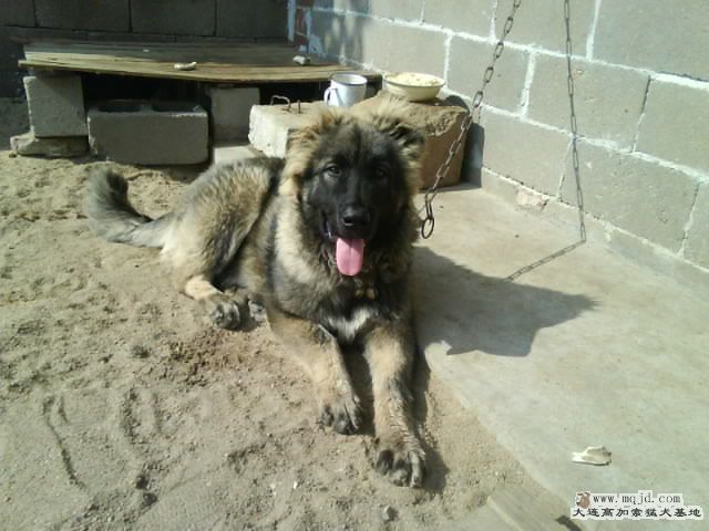 Ƭ0045.jpg