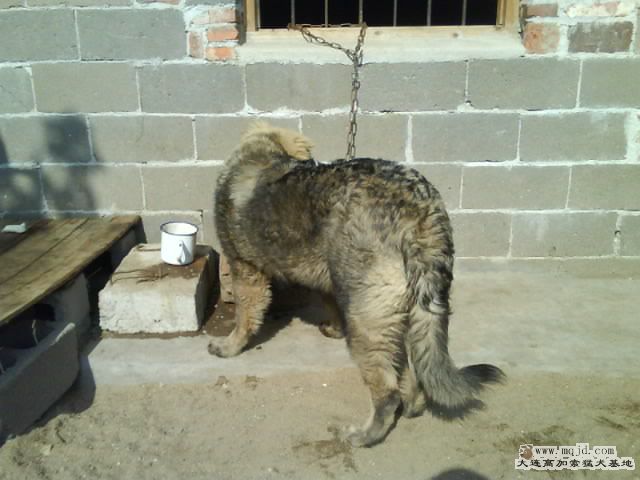 Ƭ0047.jpg