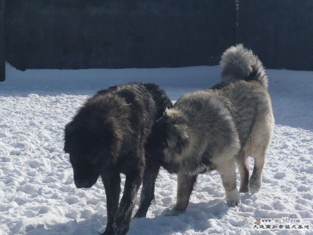 P1030190.JPG
