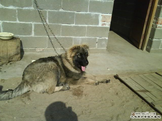 Ƭ0046.jpg