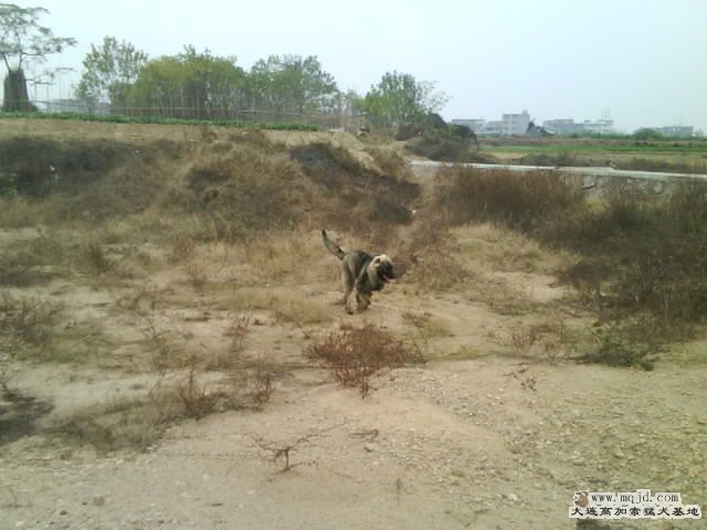 Ƭ0042.jpg