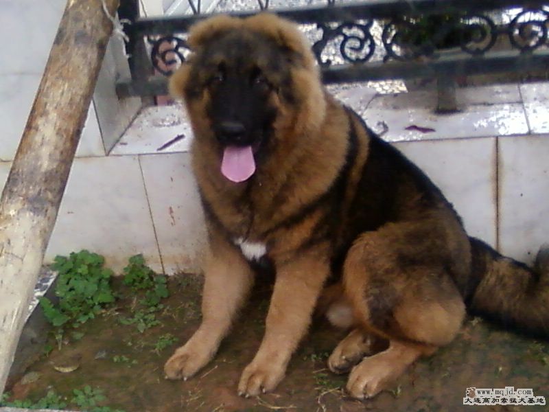 Ƭ-0019.jpg