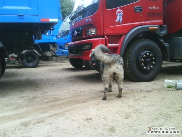 Ƭ0072.jpg