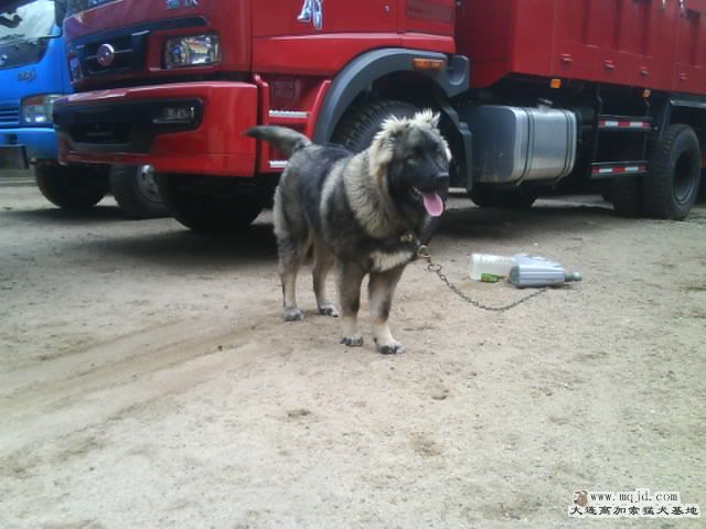Ƭ0073.jpg