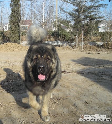 DSCN0565.JPG