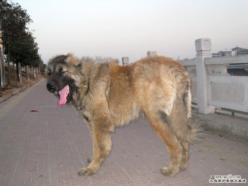 2009ͼʮһͼƬ 011.jpg