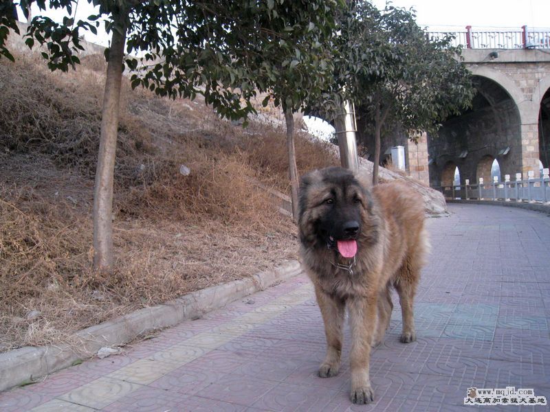 2009ͼʮһͼƬ 005.jpg