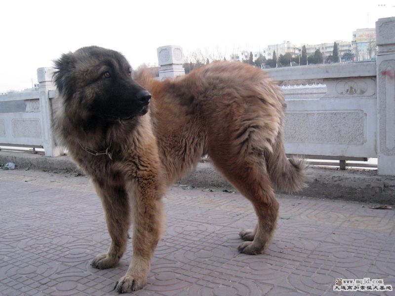 2009ͼʮһͼƬ 012.jpg