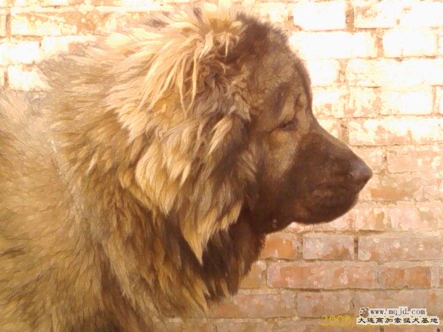 IMAG0059.jpg