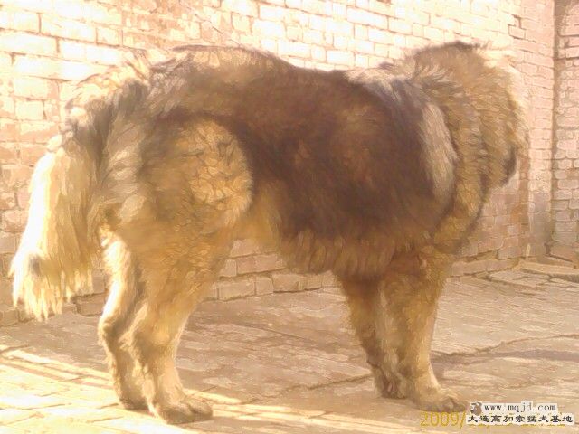 IMAG0063.jpg