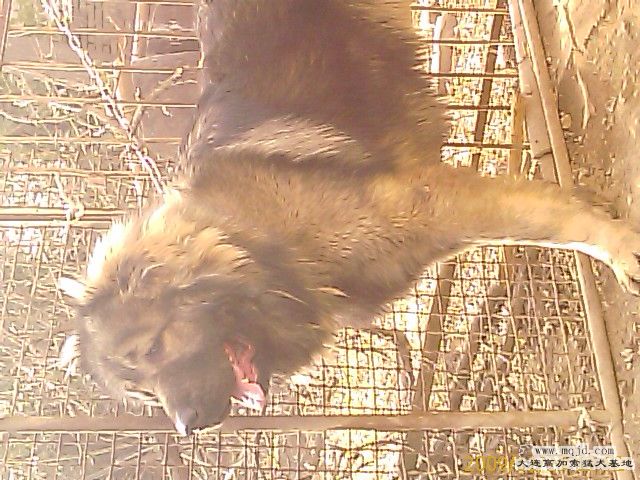IMAG0053.jpg