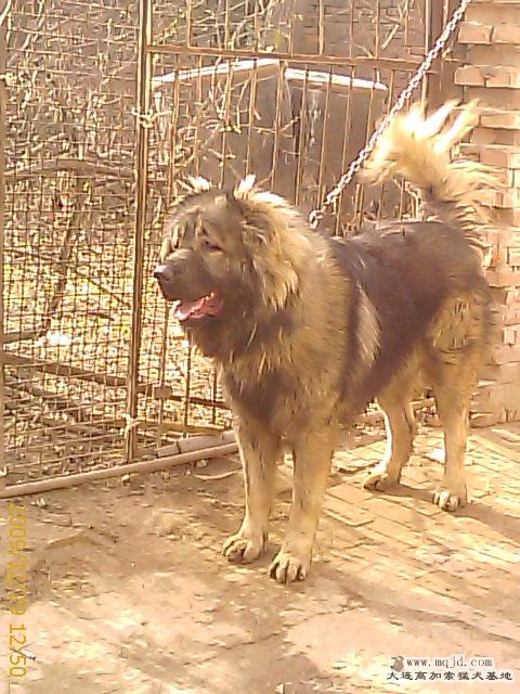 IMAG0048.jpg