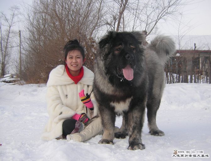 СĴ5.jpg