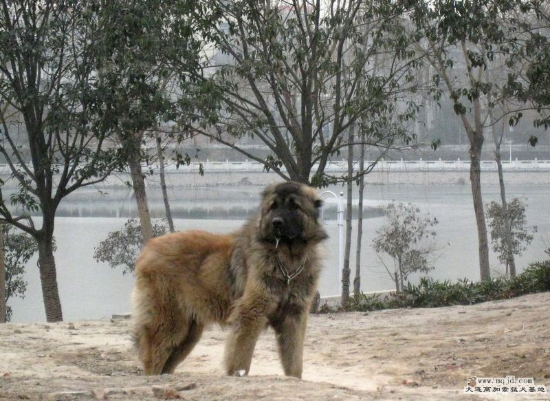 201010տ 017.jpg