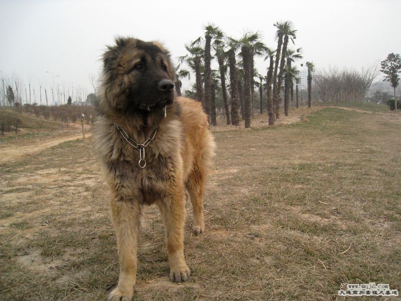201010տ 010.jpg