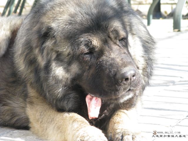 Ƭ20100112 002.jpg