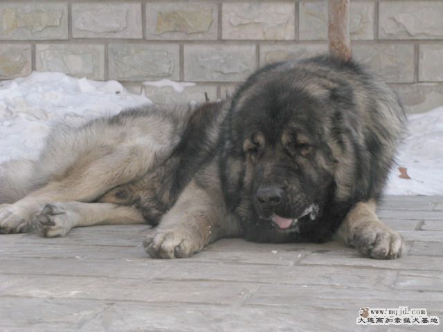 Ƭ20100112 031.jpg