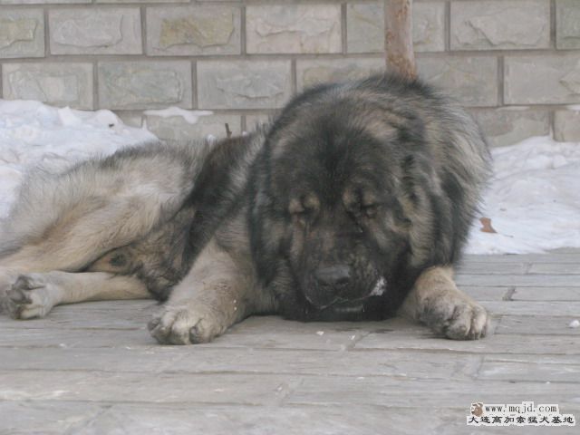 Ƭ20100112 032.jpg